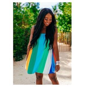 NWT Buddy Love Sandra Swing Rainbow Dress - S